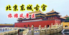 女生喷水网址在线中国北京-东城古宫旅游风景区