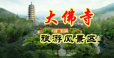 大鸡巴操小骚逼免费看中国浙江-新昌大佛寺旅游风景区